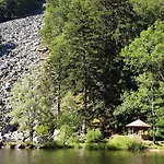 Les Myrtilles - Nature Randonnees Velo Metzeral