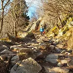 Les Myrtilles - Nature Randonnees Velo