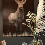 Apartment Les Myrtilles - Nature Randonnees Velo Metzeral