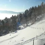 Les Myrtilles - Nature Randonnees Velo * Metzeral