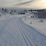 Les Myrtilles - Nature Randonnees Velo Metzeral