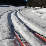 Les Myrtilles - Nature Randonnees Velo Metzeral