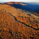 Les Myrtilles - Nature Randonnees Velo * Metzeral