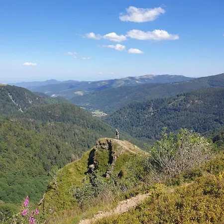 Appartement Les Myrtilles - Nature Randonnees Velo
