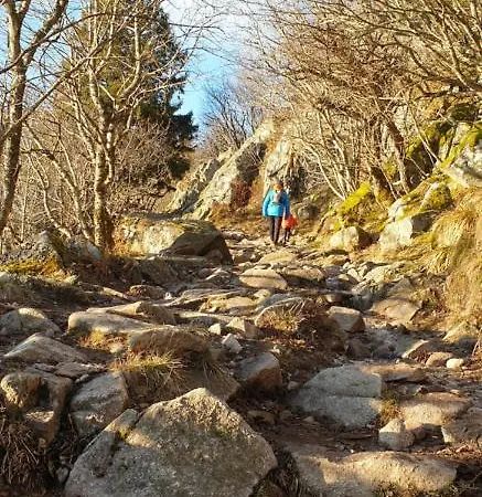 Les Myrtilles, Classé 5 étoiles
