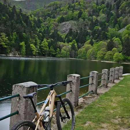 Les Myrtilles - Nature Randonnees Velo Apartment