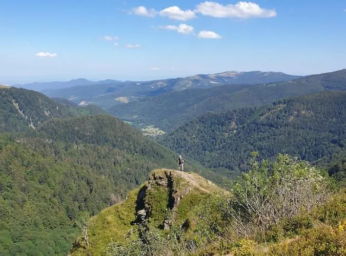 Apartment Les Myrtilles