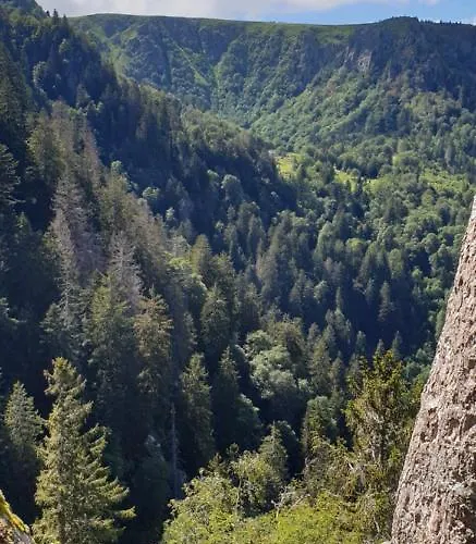 Apartment Les Myrtilles