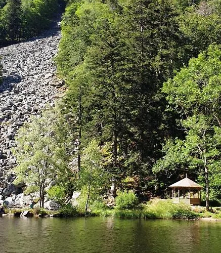 Les Myrtilles Metzeral