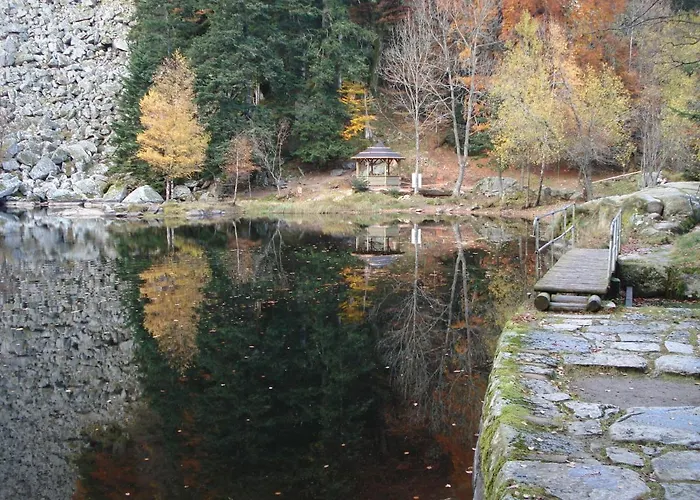 Apartment Les Myrtilles