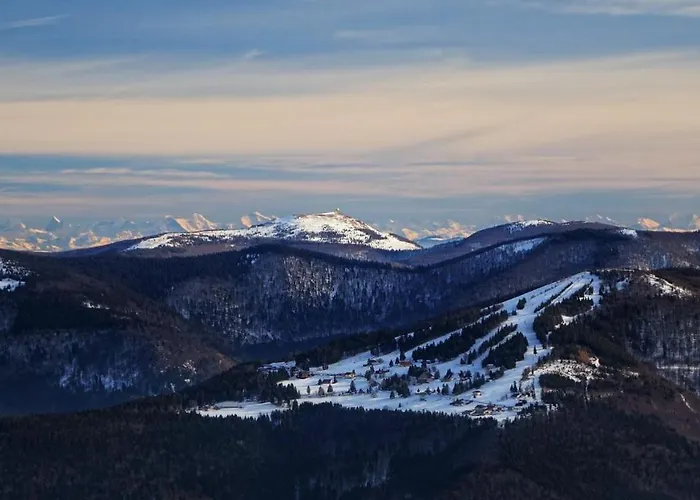 Apartment Les Myrtilles