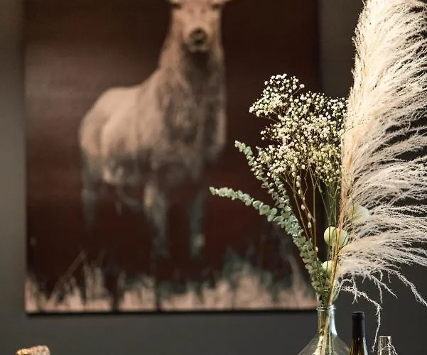 Apartment Les Myrtilles Metzeral