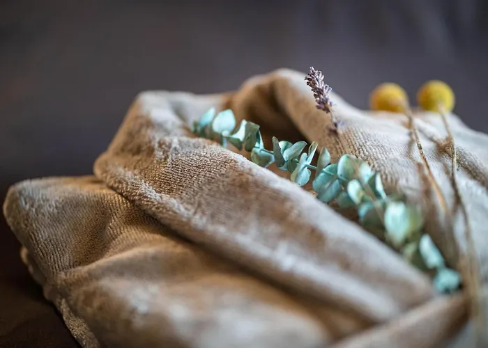 Les Myrtilles * Metzeral