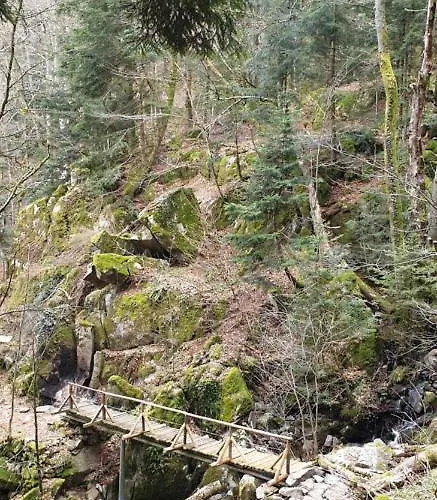 Apartment Les Myrtilles *