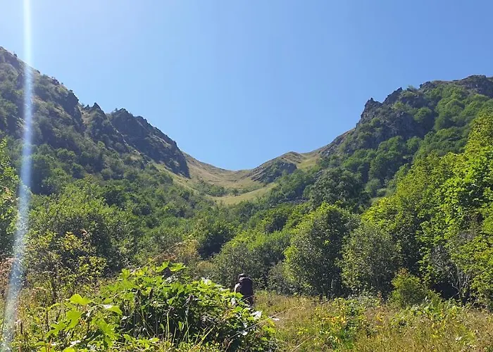 Apartment Les Myrtilles Metzeral