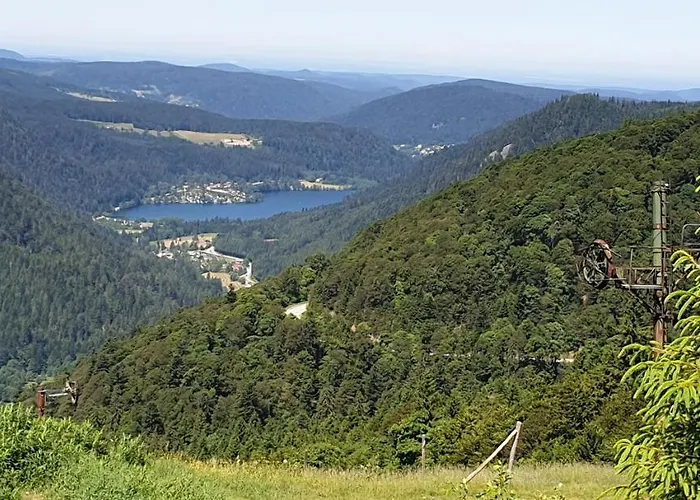 Apartment Les Myrtilles