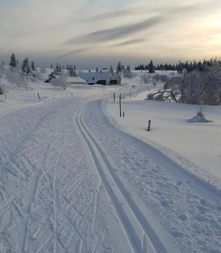 Les Myrtilles Metzeral