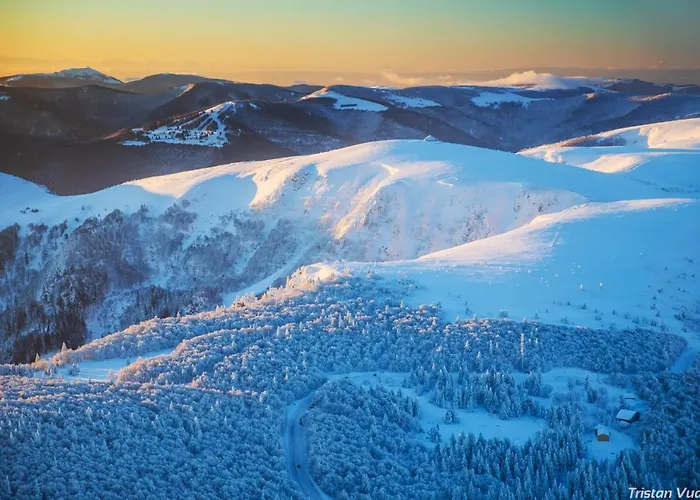 Les Myrtilles Apartment