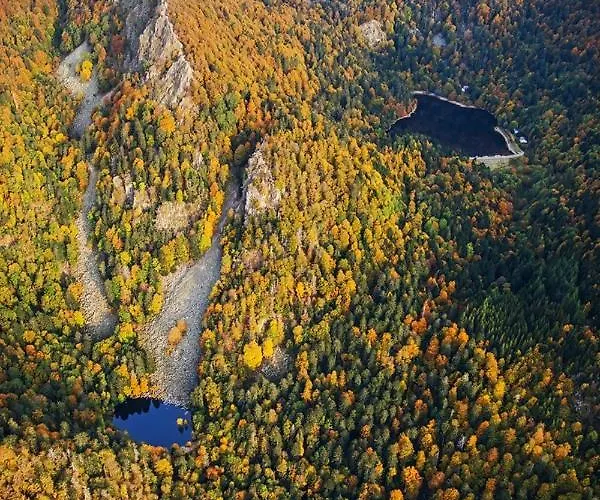 Les Myrtilles Apartment *