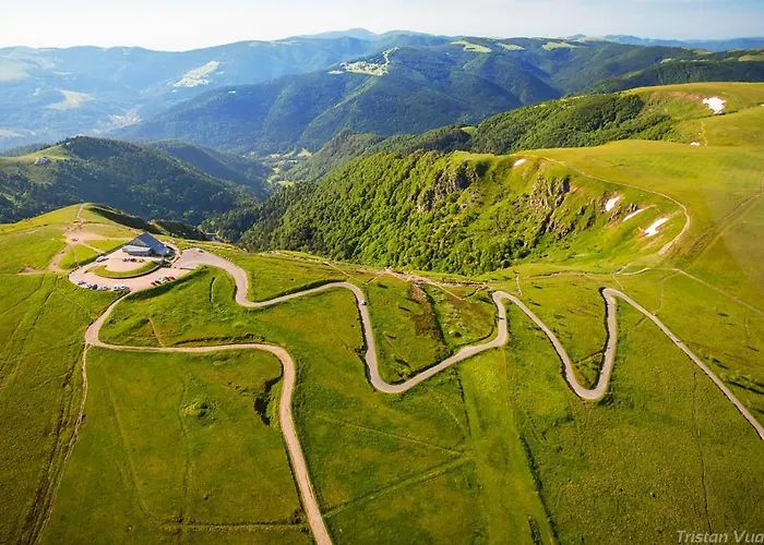 Les Myrtilles * Metzeral