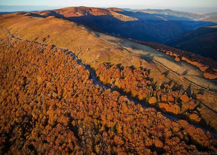 Les Myrtilles * Metzeral