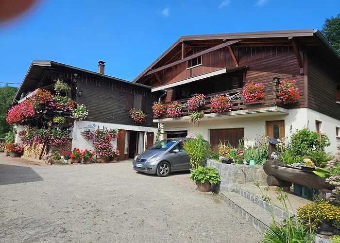 Les Myrtilles Apartment Metzeral